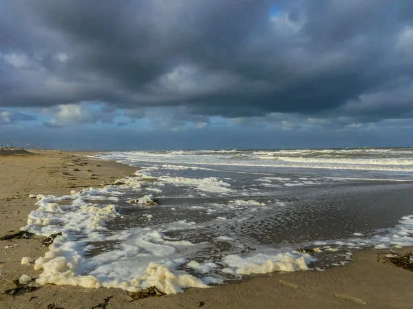 Kijkduin Beach Hague Netherlands October 2018 Foam Washing Ashore North — Stock Photo, Image