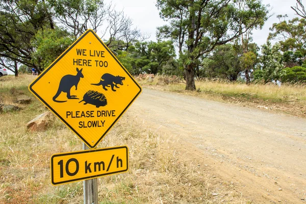 Hobart Tasmánie Prosinec 2016 Road Boční Varovný Signál Pro Tasmánský — Stock fotografie