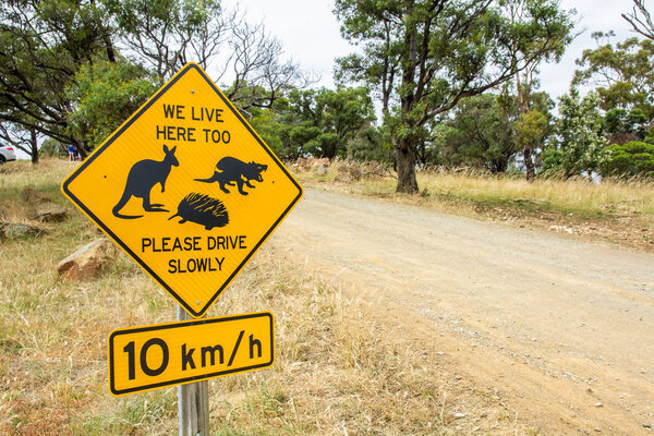 Hobart, Tasmania - December 27 2016: road side warning sign for Tasmanian kangaroo, tasmanian devil and echidna wildlife