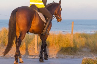 Kijkduin, Lahey - 13 Aralık 2018: dunes-varlık bilme bir kumsala gündoğumu eğlence için at