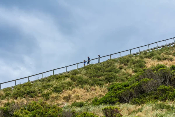 Bruny Island Neck Tasmania Australia Dicembre 2016 Passeggiata Nella Riserva — Foto Stock