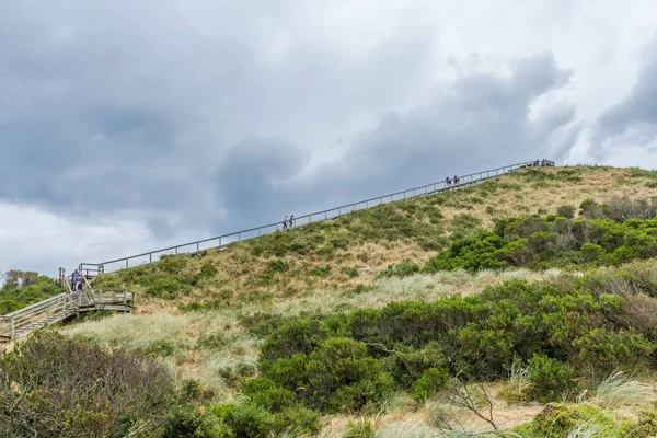 Bruny Острів Шиї Тасманія Австралія Грудня 2016 Оглядовий Кроки Bruny — стокове фото
