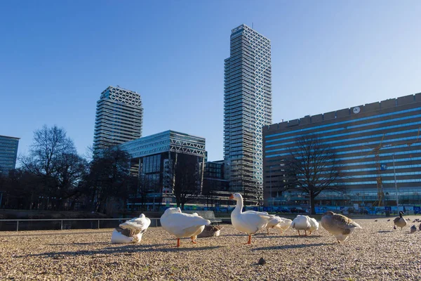 ハーグ オランダ 2019 ルモワヌ駅と新バビロン オフィス ショッピング ホテルの複合体の高層ビルの近代建築 — ストック写真