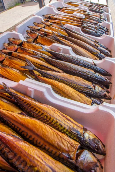 Preparado Ahumado Caballa Mercado Europeo Pescado Local — Foto de Stock