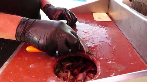 Fish Monger Czyszczenie Świeżego Nowego Sezonu Śledzia — Wideo stockowe