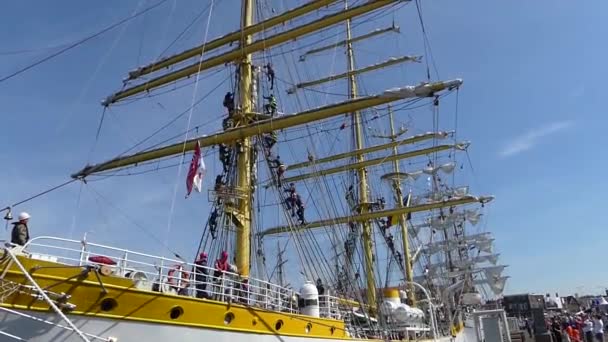 Σεβενίνγκεν Ολλανδία 2019 Στεκώμενα Στα Πανιά Ναυτικοί Του Τάλσιπ Arm — Αρχείο Βίντεο