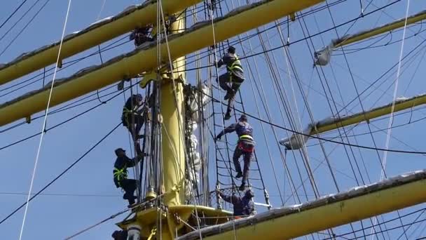 Scheveningen Nederländerna 2019 Stående Seglen Sjömännen Skonarseglats Arm Cuauhtmoc Imponerande — Stockvideo