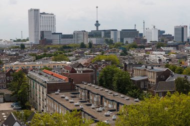 Rotterdam, Hollanda - 19 Temmuz 2019: Rotterdam yapraklı kentsel apartmanların karma klasik mimarisi modern şehir yüksek yükselişi, yüksek kuleler ve arka planda euro direği ile ön planda