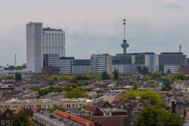 Rotterdam, Hollanda - 19 Temmuz 2019: Rotterdam yapraklı kentsel apartmanların karma klasik mimarisi modern şehir yüksek yükselişi, yüksek kuleler ve arka planda euro direği ile ön planda
