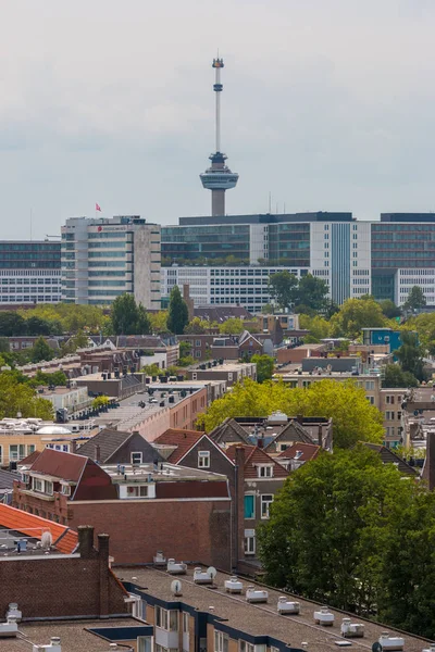 ロッテルダム オランダ 7月19 2019 背景に近代的な都市の高層 高い塔とユーロマストと前景のロッテルダム緑豊かな都市のアパートの建物の混合古典的な建築 — ストック写真