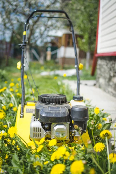 Pemotong rumput bertenaga bensin modern berdiri di halaman hijau segar di kebun musim panas — Stok Foto