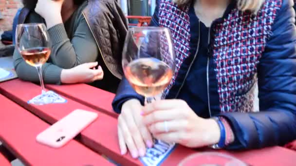 Kieliszek Różowego Wina Odgrywa Dłoni — Wideo stockowe