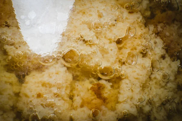 Pão caseiro kvass com fermento e malte em uma caneca de vidro em uma placa de madeira close-up, foco seletivo . — Fotografia de Stock