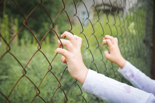 La mano del niño en una cerca verde —  Fotos de Stock