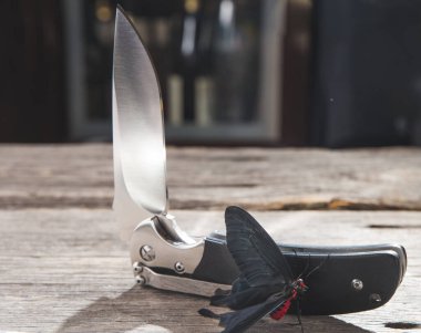 Kırmızı egzotik kelebek beyaz arka planda izole