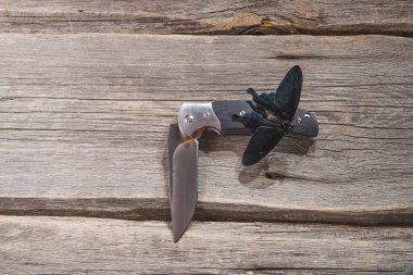 Kırmızı egzotik kelebek beyaz arka planda izole