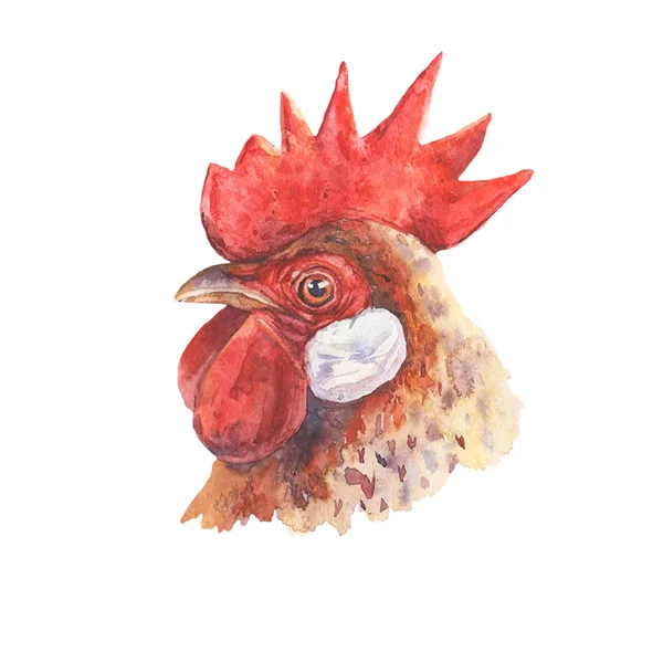 Handrawn 일러스트레이션 닭 — 스톡 사진