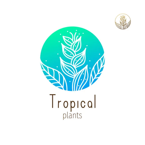 Logotipo da selva tropical —  Vetores de Stock