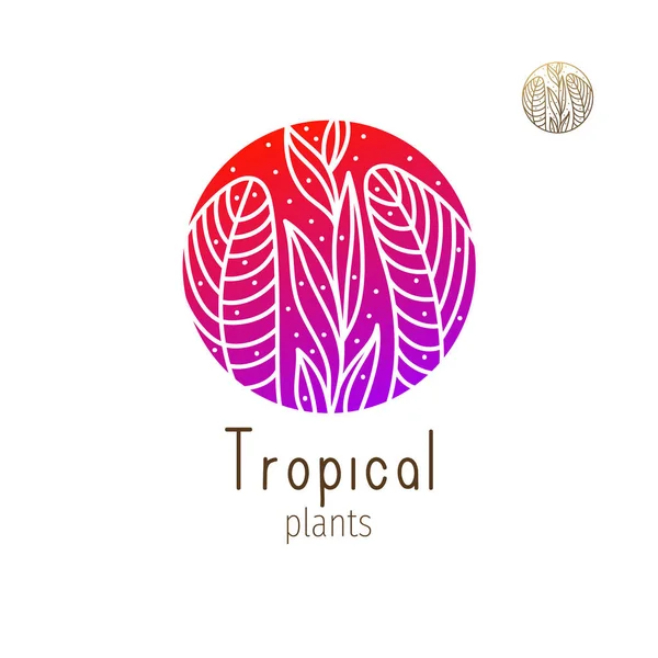 Logotipo da selva tropical —  Vetores de Stock
