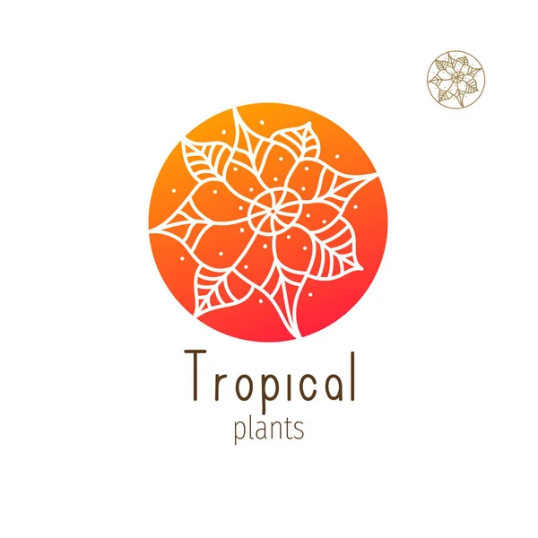 Erva floral tropical —  Vetores de Stock