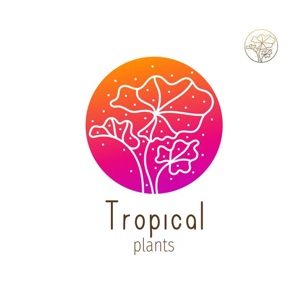 Erva floral tropical —  Vetores de Stock