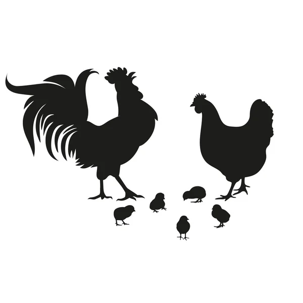 Chicken Rooster Chickens Chicken Farm Set Black Silhouettes Isolated Elements — Stock Vector