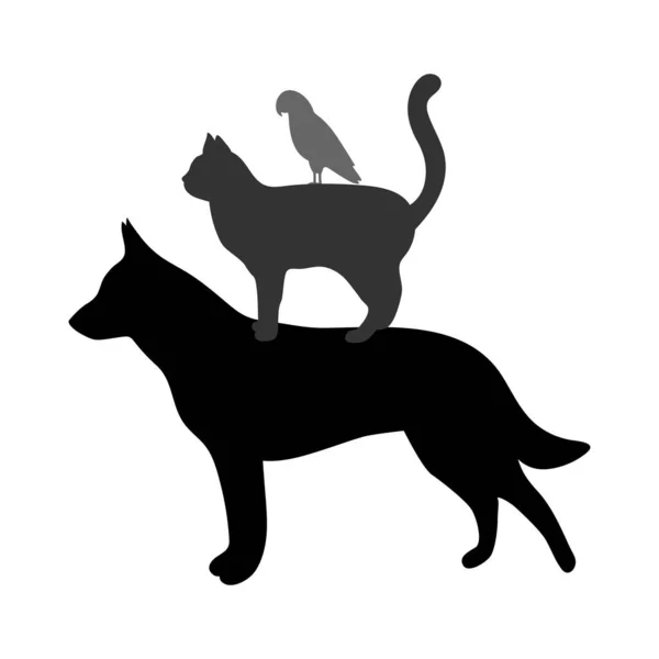 Siluety Psů Koček Ptáků Bílém Pozadí — Stockový vektor