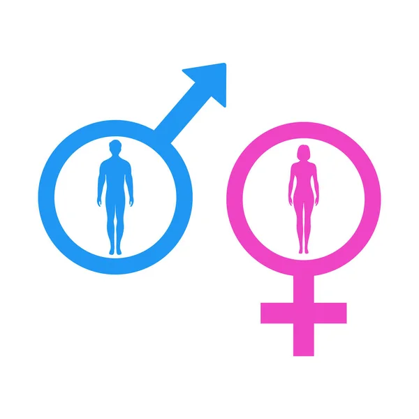 Male Female Pink Blue Set Gender Symbols White Background — Stock Vector