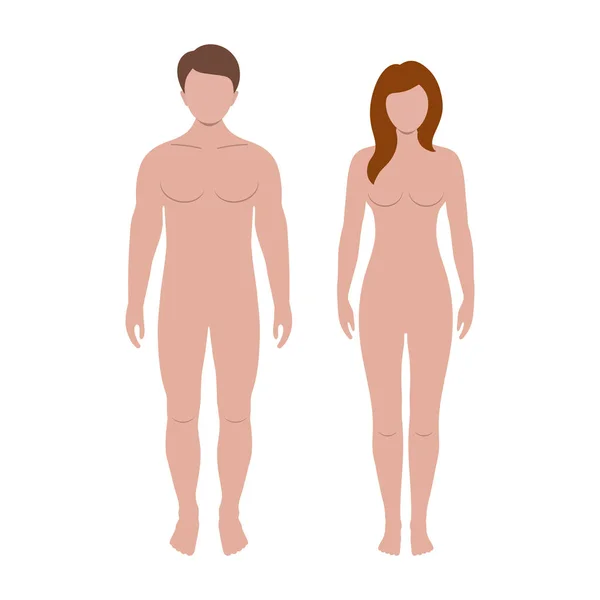 Ilustração Silhuetas Homem Mulher Fundo Branco Formas Anatômicas Corpo Humano — Vetor de Stock