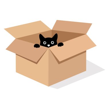 Beyaz arka planda bir kutuda gölgesi olan siyah bir kedi tasviri
