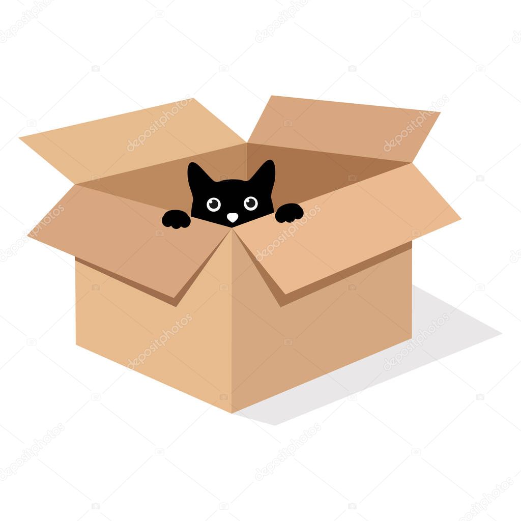 illustration of a black cat in a box on a white background with shadow