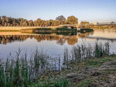 Yaya köprüsü Myrhorodkurort yakınlarındaki Khorol Nehri 'ni sakin sulardaki yansımalarla ve sazlıklar sahneyi çerçeveliyor. Altın gece ışığı Myrhorod seti aydınlatıyor ve şehrin adı liman duvarında görünüyor. Myrhorod, Ukrayna - 29 Haziran 2024
