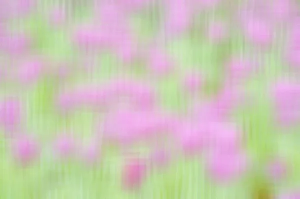 Blurred Floral Field Background Blurred Nature Background — Stock Photo, Image