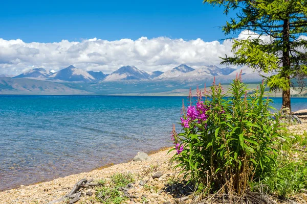 Дика Природа Монголії Прекрасним Видом Озеро Hovsgol Східної Саяно Хребта — стокове фото