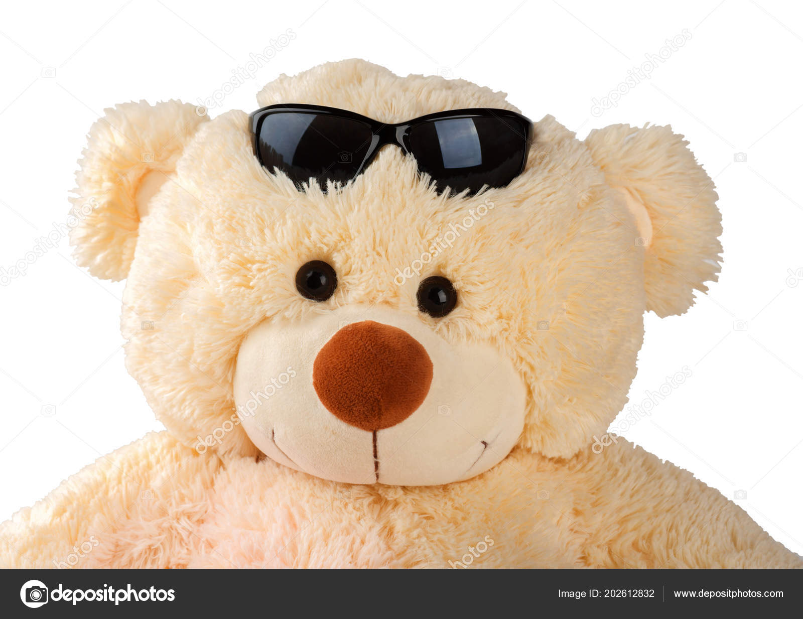 teddy bear sunglasses