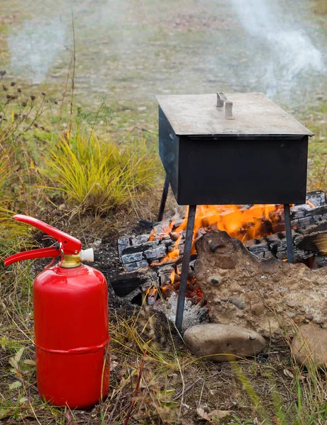 Smoking of fish on a fire in a smoke box and a fire extinguisher