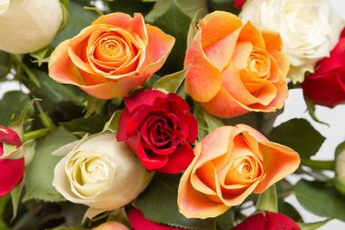 Güzel renkli gül yakın çekim buket 