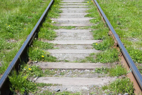 Ferrocarril Viejo Con Traviesas Madera Hierba Verde — Foto de Stock