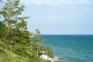 Bir yaz gününde çam ağaçlarıyla Gölü kıyısındaki Baykal 