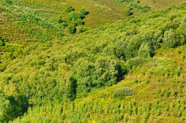 Yolculuk sırasında sonbahar dağlarını ve ormanları fotoğraflamak