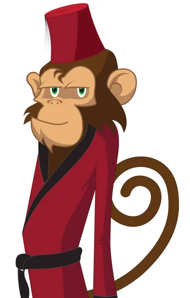 Morocco Fez Monkey Red Attire — Stock Photo, Image