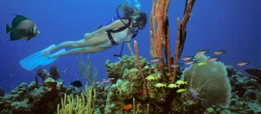 A scuba diving girl in a bikini poses above the coral reef in the warm waters in Caribbean surrounded by fish taken with 35mm film camera clipart