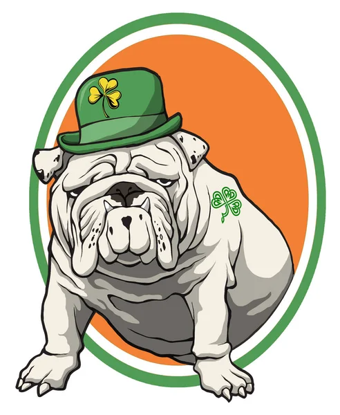 Irish Bulldog Usando Chapéu Duende Fundo Branco Isolado Imagens De Bancos De Imagens Sem Royalties