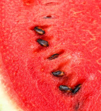 Karpuz arka plan fotoğrafı yakın çekim