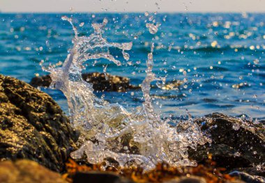 fırtınalı dalgaları kaya bir tropikal plaj isabet