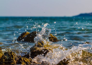 fırtınalı dalgaları kaya bir tropikal plaj isabet