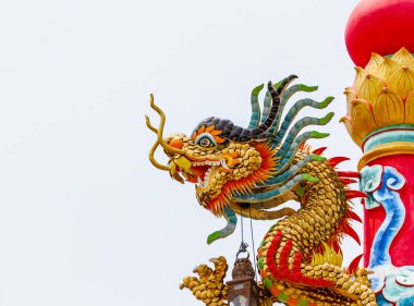 Beyaz arka planda güzel ejderha heykeli