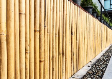 Tarzı düzeni bambu bir güzel parlak curcuna