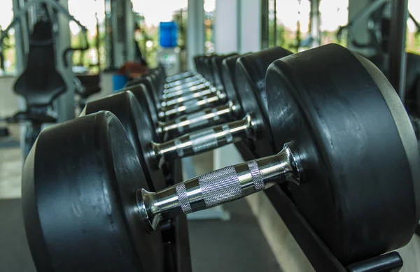 Sports dumbbells in modern sports club. Weight Training Equipment