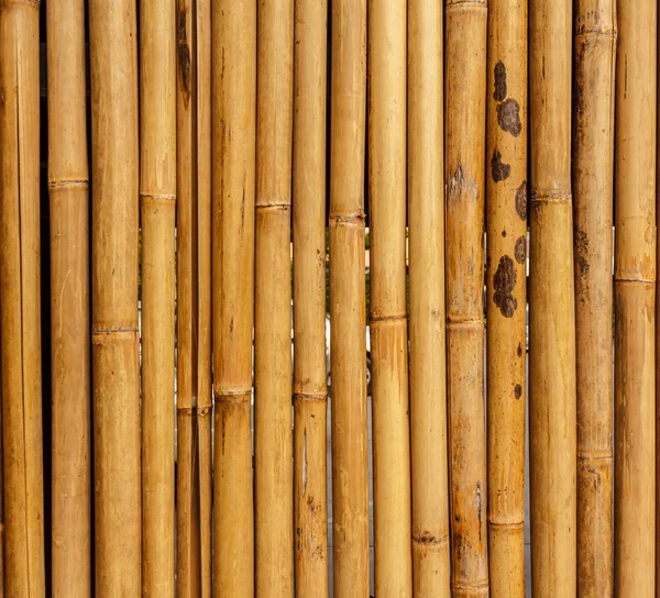 Táblastílus Elrendezésének Bambusz Egy Gyönyörű Szép Rendetlenség — Stock Fotó